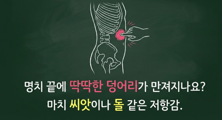 담음과 식적이 결합되어 딱딱한 덩어리를 형성하는 담적의 병리 기전