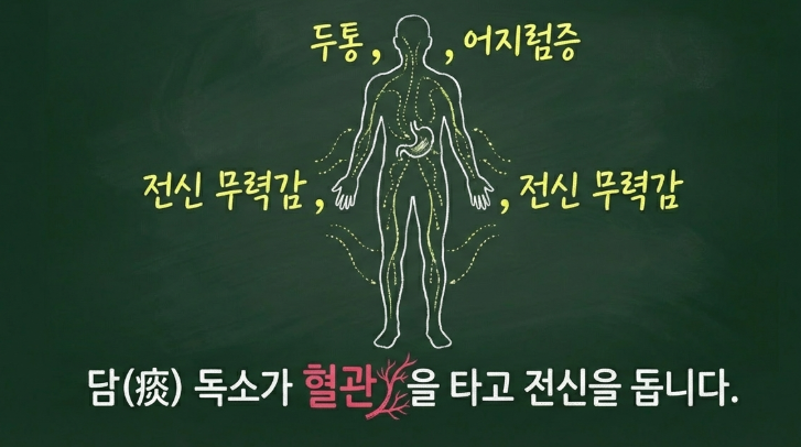 담음과 식적이 결합되어 딱딱한 덩어리를 형성하는 담적의 병리 기전