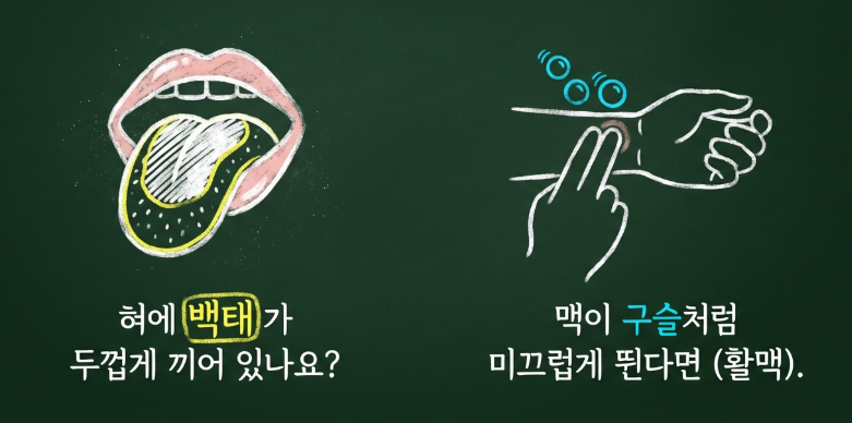 담음과 식적이 결합되어 딱딱한 덩어리를 형성하는 담적의 병리 기전