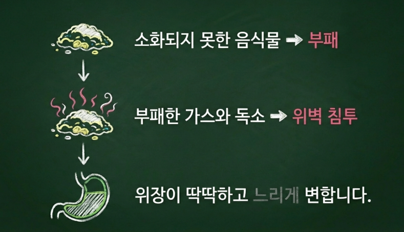 담적이 주로 발생하는 위장관 및 명치 부위의 위치도