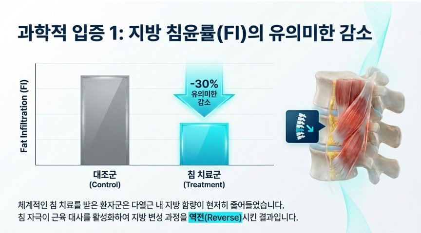 2024년 연구 데이터 기반 침 치료 전후 척추 근육 내 지방 함량 변화 비교