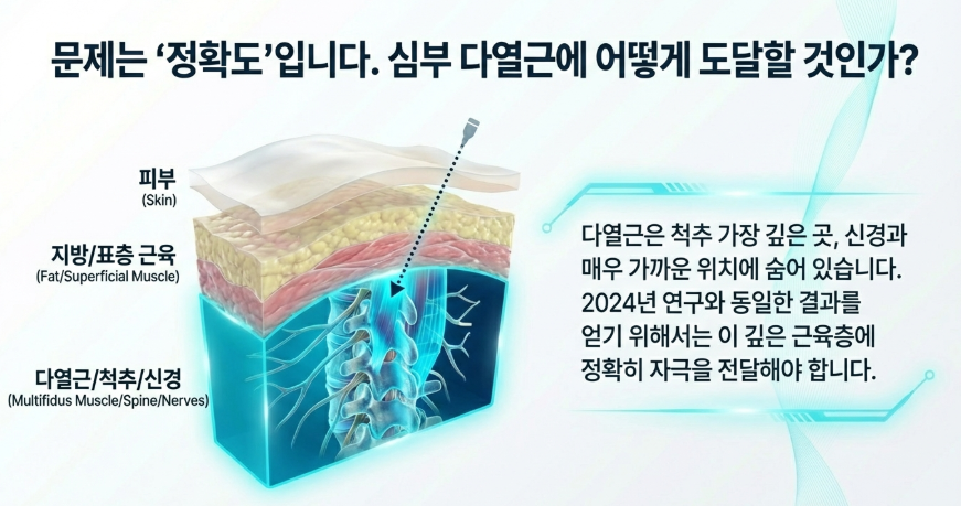 2024년 연구 데이터 기반 침 치료 전후 척추 근육 내 지방 함량 변화 비교