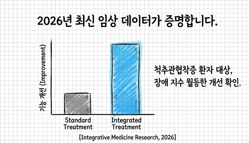 2024년 최신 연구 기반 허리디스크 환자의 척추 주변 근육 질 개선 및 통증 감소 지표 그래프