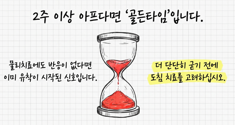 2024년 최신 연구 기반 허리디스크 환자의 척추 주변 근육 질 개선 및 통증 감소 지표 그래프