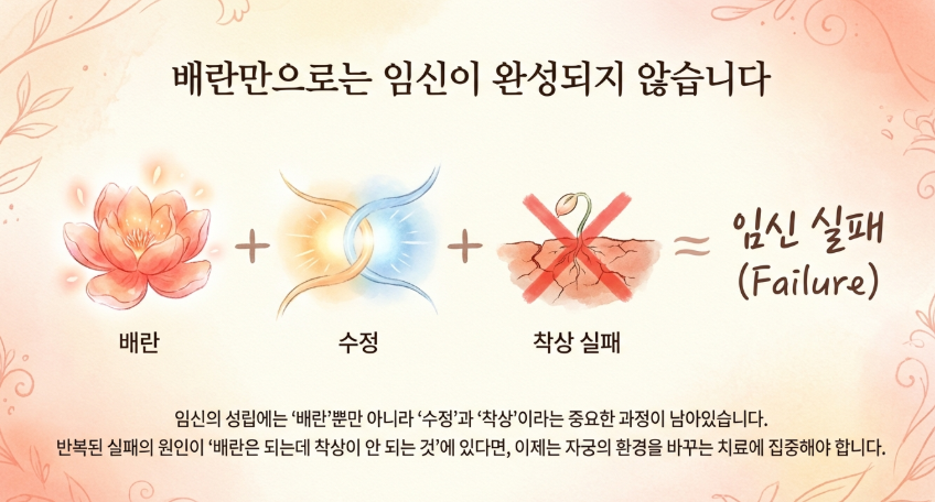 한의학박사 김덕호 원장의 난소 기능 재활 프로그램을 통한 호르몬 균형 회복 모식도