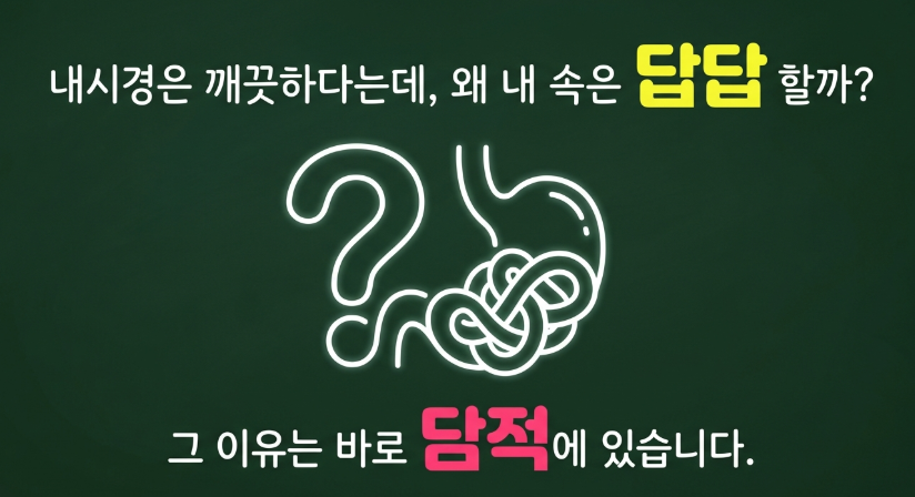 2023년 최신 논문 기반 담적 증상의 5가지 핵심 진단 요소 인포그래픽