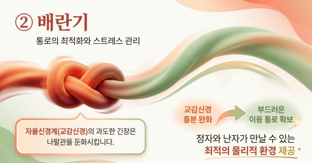 배아 이식 전후 자궁 내막 수용성을 높여 착상을 돕는 한의학박사의 정밀 침 시술 장면