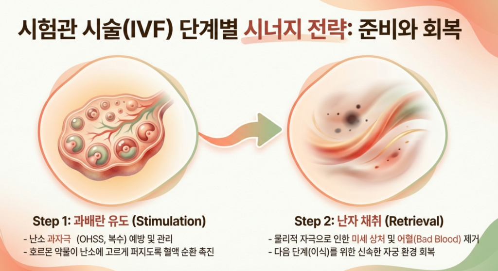 배아 이식 전후 자궁 내막 수용성을 높여 착상을 돕는 한의학박사의 정밀 침 시술 장면