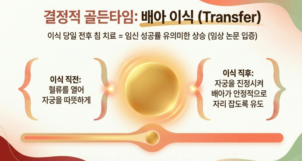 배아 이식 전후 자궁 내막 수용성을 높여 착상을 돕는 한의학박사의 정밀 침 시술 장면