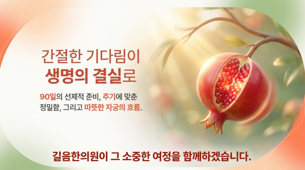 강북구 성북구 지역 난임 부부를 위한 자율신경 안정 및 편도체 이완 호흡법 교육 전경