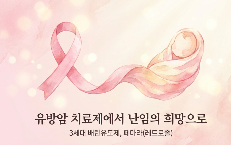 성북구 난임 치료의 핵심인 페마라(레트로졸)의 아로마타제 억제 기전과 호르몬 변화 과정