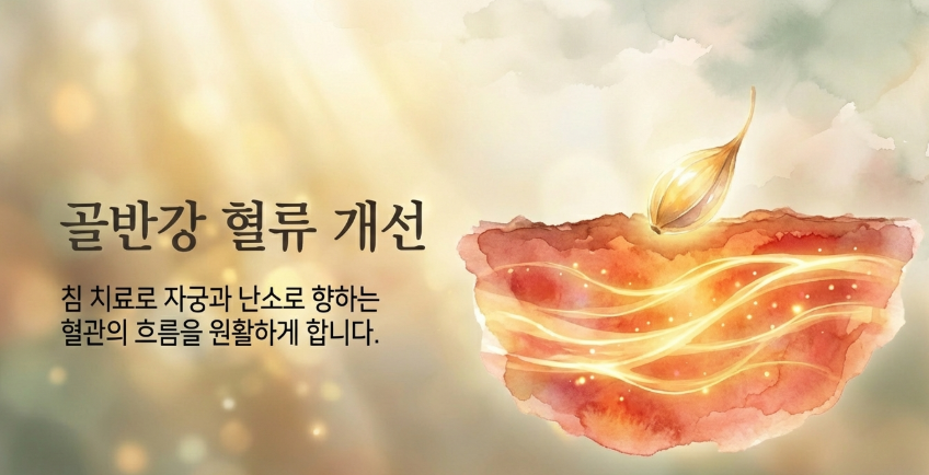 한의학박사 김덕호 원장의 난소 기능 회복 프로그램을 통한 난포 성숙 주기 90일 관리법