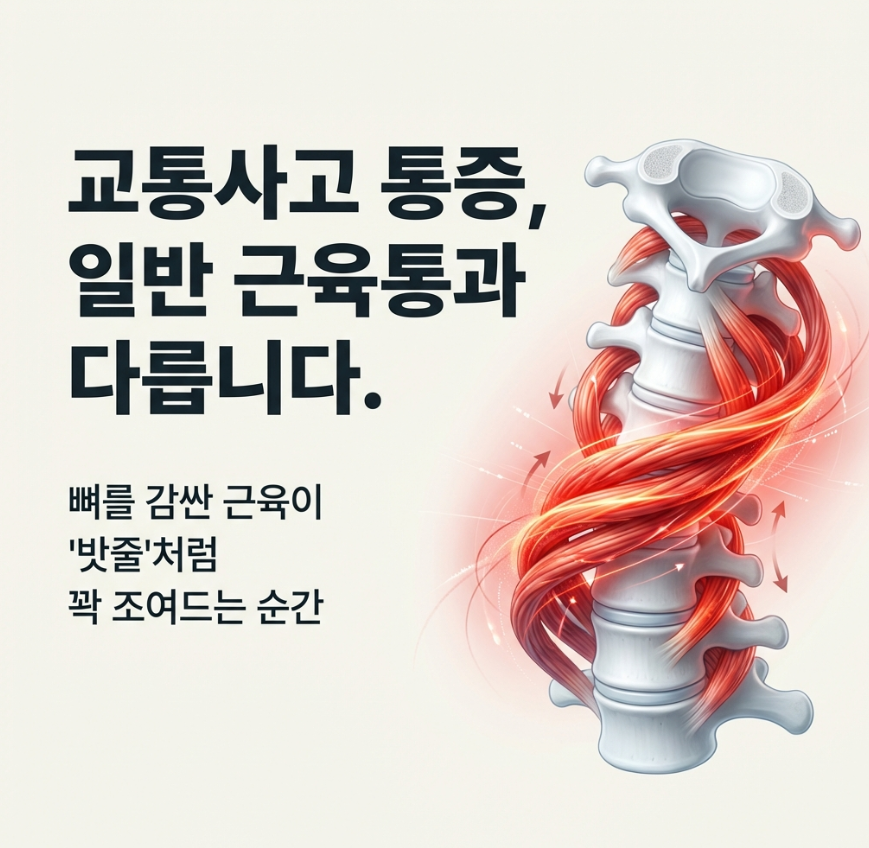 성북구 교통사고 한의원에서 15년 경력의 한의학박사가 직접 시행하는 정교한 추나 시술 장면