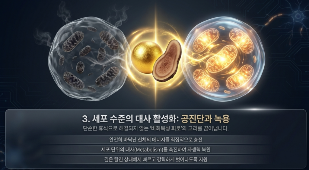 교감신경과 부교감신경의 균형을 되찾아 몸을 편안하게 만드는 치료 원리