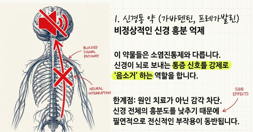 성신여대역 한의원에서 설명하는 신경통 약물이 뇌의 신경전달물질에 작용하여 통증 신호를 억제하는 원리