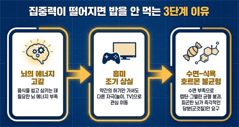 집중력이 떨어지면 식사를 못하는 이유를 설명한 뇌과학 도식