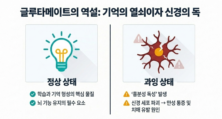 글루타메이트의 효과 기전과 치매와의 연관성 도식표