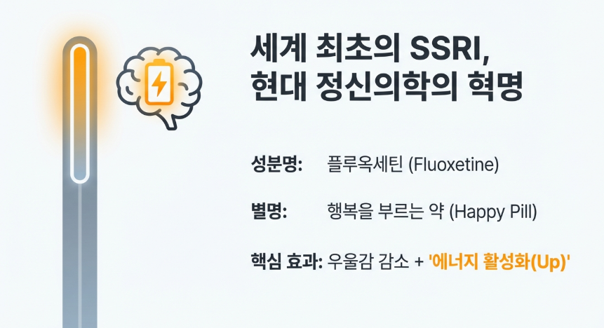 한의학 박사 김덕호 원장이 설명하는 푸로작의 뇌 속 세로토닌 재흡수 차단 기전 및 활성화 원리 인포그래픽