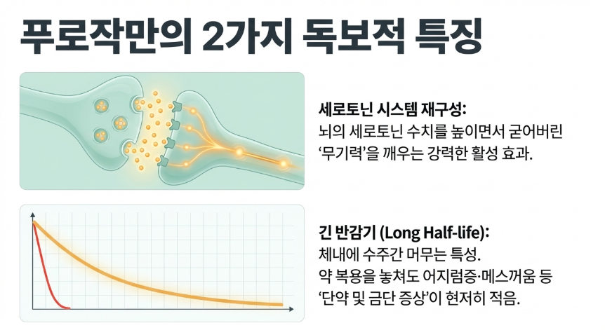 한의학 박사 김덕호 원장이 설명하는 푸로작의 뇌 속 세로토닌 재흡수 차단 기전 및 활성화 원리 인포그래픽