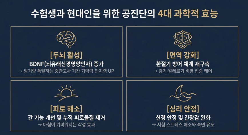 공진단 효과와 환절기 면역력과 시험기간에 효과적인 공진단의 4가지 효능 이미지