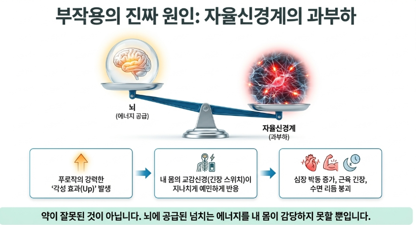 푸로작의 부작용의 종류와 자율신경계 과부하가 진짜 원인이라는 그림