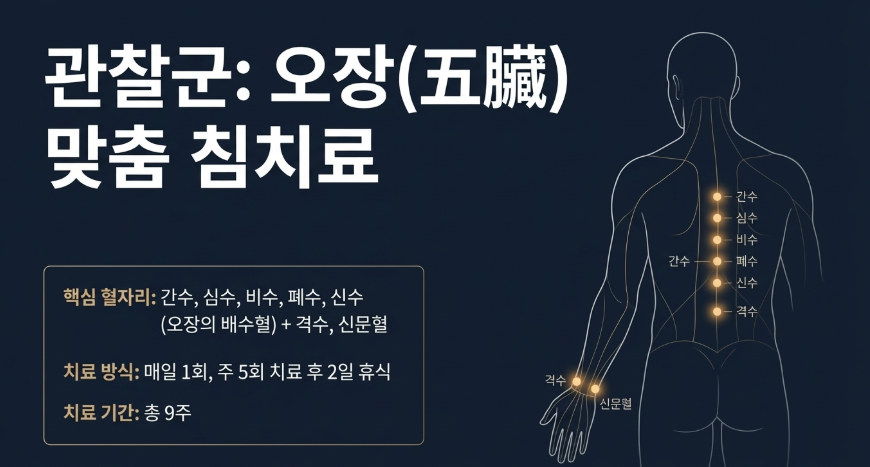 갱년기 불면증 침치료를 위한 등 배수혈과 손목 신문혈의 임상적 활용