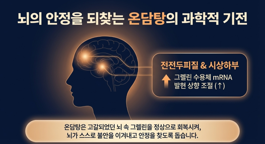 실제 불안장애 한약을 복용하시고 호전된 환자분이 좋아진 기전