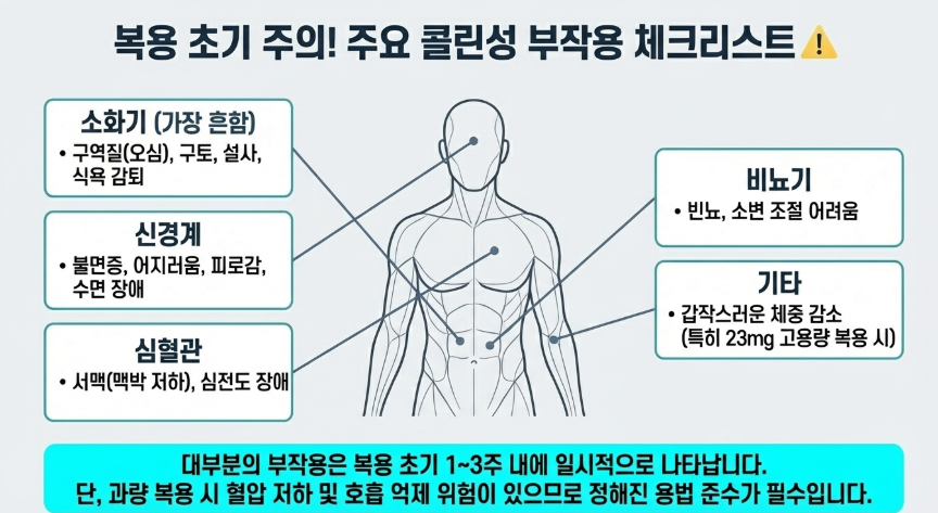 도네페질 효과만큼 주의해야할 콜린성 부작용 체크리스트