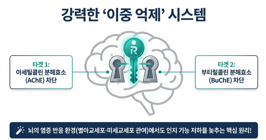 리바스티그민이 효과적인 치매 패치 치료제인 이유와 2가지 기전