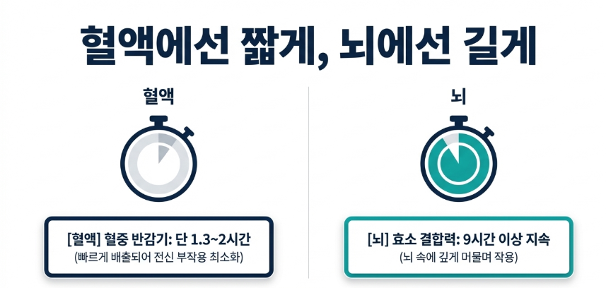 리바스티그민 효과의 핵심적인 기전인 혈액과 뇌에서 다르게 작용하는 반감기 설명도표