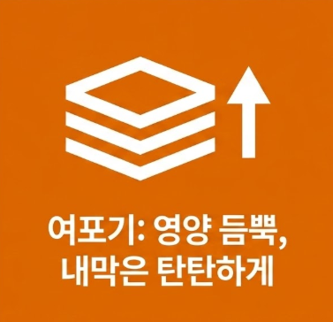 여포기에 시험관 시술 침치료는 내막을 탄탄하게 한다