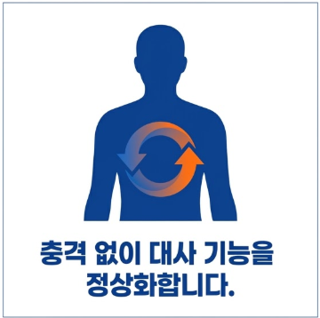 비만 다이어트 한방치료로 대사 기능을 정상화하는 기전