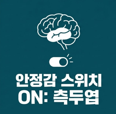 내관혈이 측두엽을 자극해 안정화를 시키는 기전